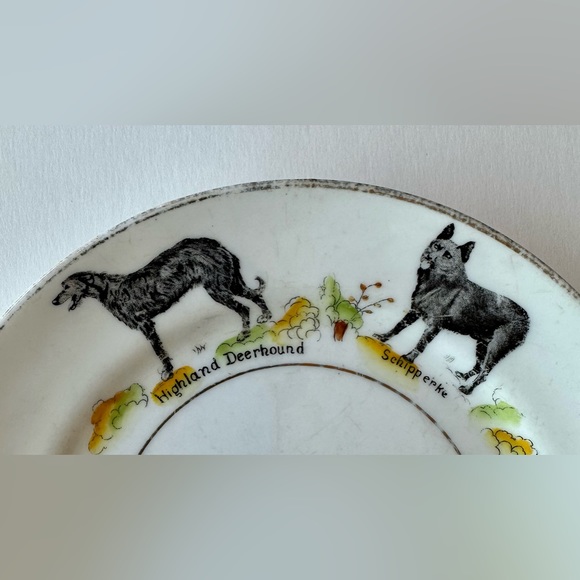 Paragon British Dog Series 7” Plate - Picture 5 of 6